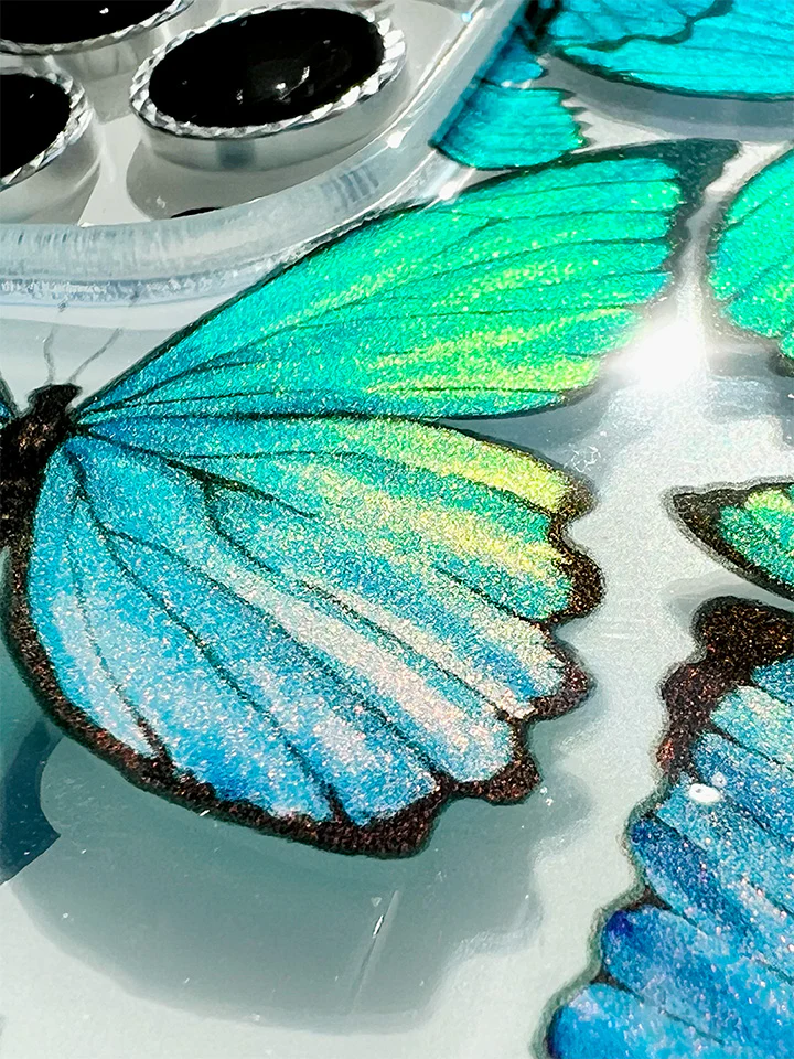 Butterflies 4 Butterflies